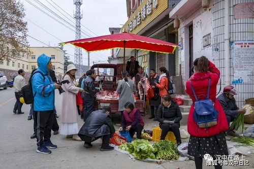乘漢中網紅慢火車，去陽平關逛一逛 農林特產