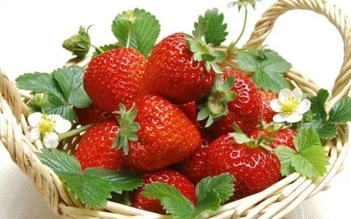 濟南區縣特產美食之農林特產篇，你品嘗過哪些？