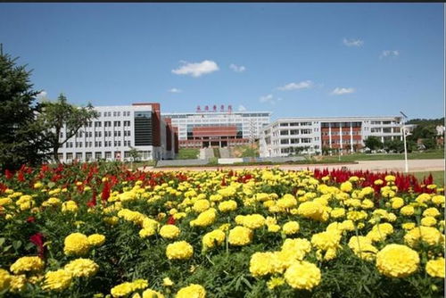 承德醫學院現任領導班子成員與校園關聯的農林特產側寫