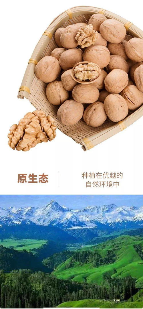 原味新疆，從指尖到舌尖的自然饋贈(zèng)——記嗨途戶外源頭直供正宗溫宿185核桃
